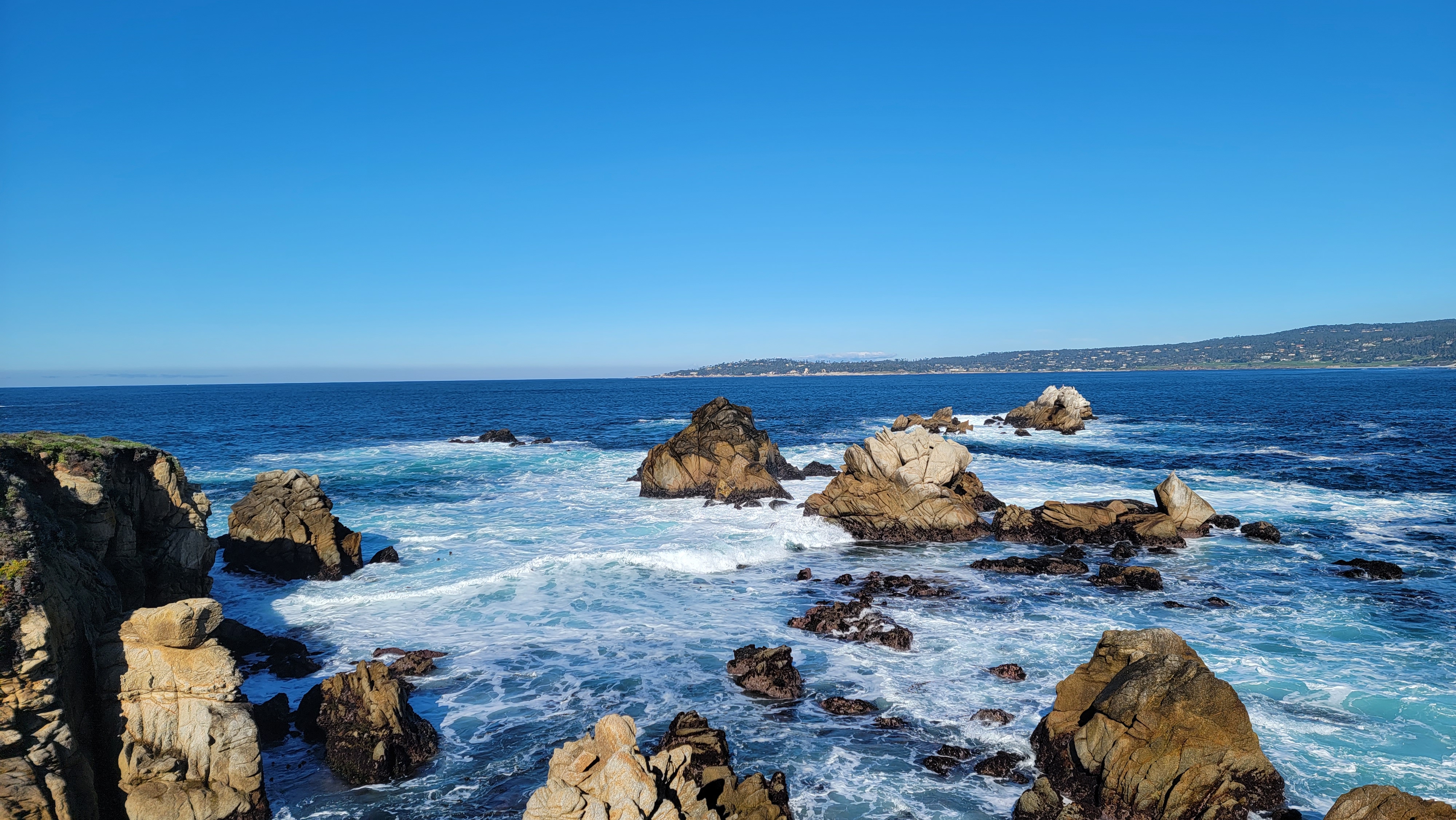 things to do at point lobos state natural reserve near monterey california